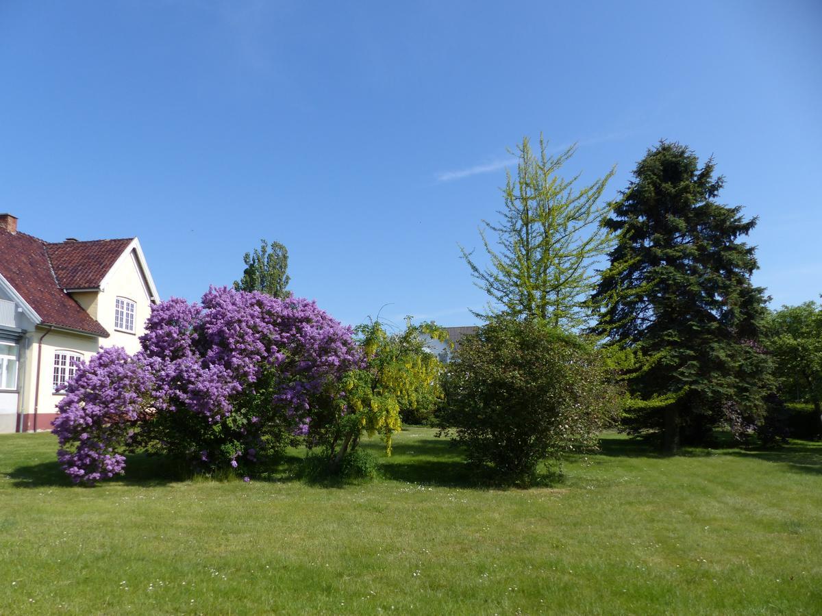 Birkely Bed And Breakfast Stege Exterior foto